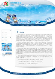 山西明泰食品網(wǎng)站制作方案 高效專業(yè)，助力品牌騰飛